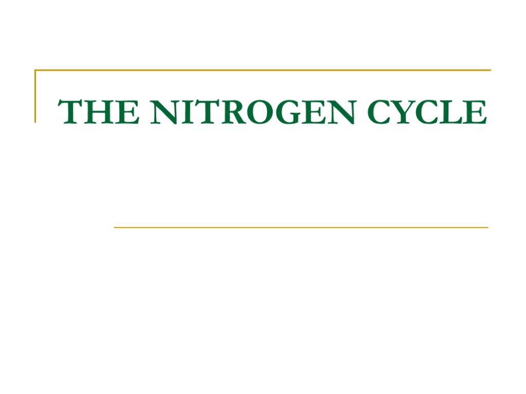 THE NITROGEN CYCLE